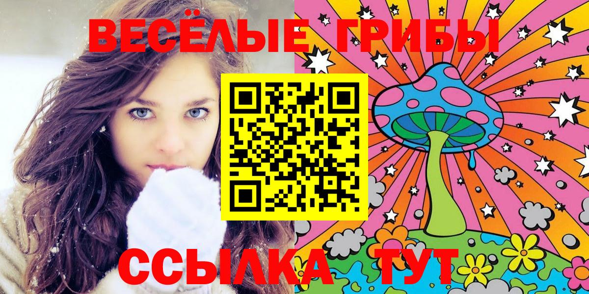 Кимры  даркнет сайт  Вход с VPN  Галлюциногенные грибы MAGIC MUSHROOMS 